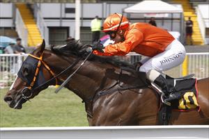 Promising stayer returns